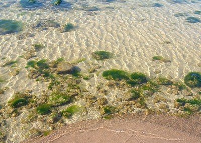Бальнеологический курорт Паланга Бальнеологический курорт Паланга