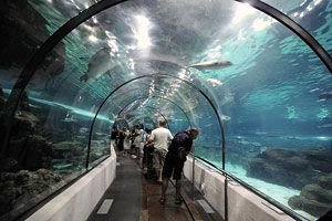 Что посмотреть в Барселоне Что посмотреть в Барселоне