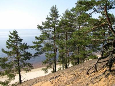 Царство лесов и чистого воздуха Вильянди Царство лесов и чистого воздуха Вильянди