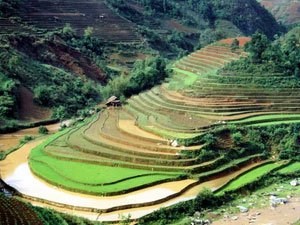 Р С›РЎвЂљР Т�?РЎвЂ№РЎвЂ¦ Р Р†Р С• Р вЂ™РЎРЉР ВµРЎвЂљР Р…Р В°Р С?Р Вµ