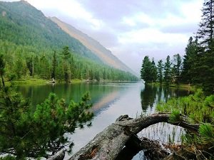 Особенности отдыха на Алтае Особенности отдыха на Алтае