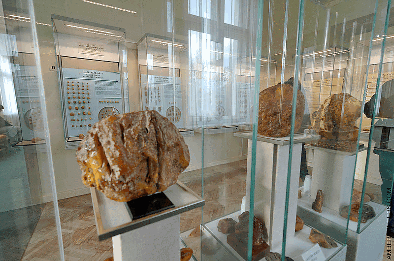 В Паланге обновился музей янтаря.